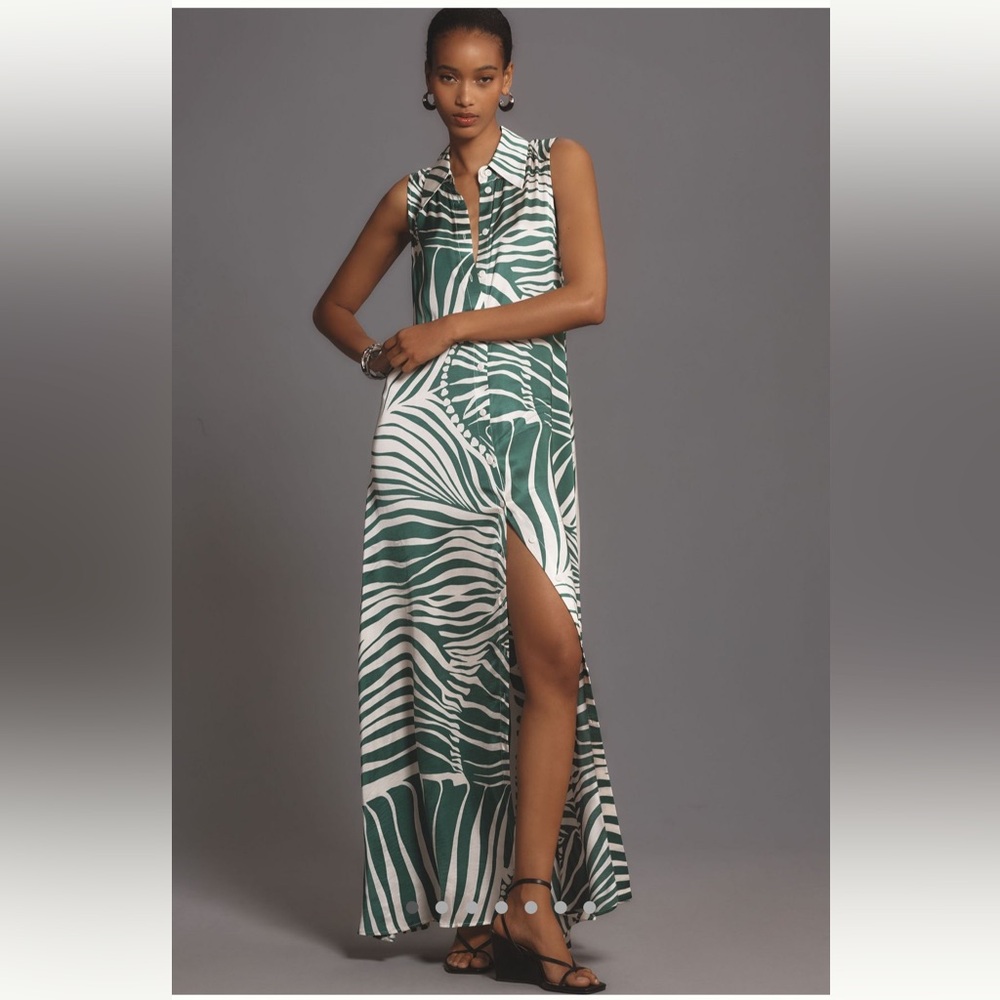 BNWT Anthropologie Silky Long dress